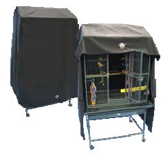 10 tips to keeping your pet birds warm in Winter