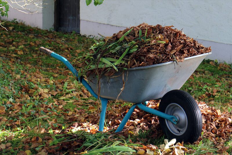 Autumn Chores to Work on In Your Backyard