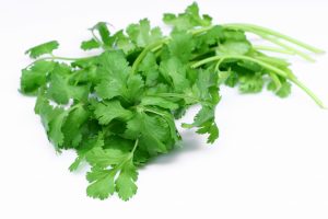 veggies - Coriander