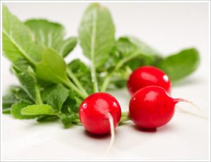 veggies - radish