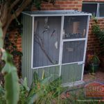 Keep Pet Birds Warm- Positioned Location