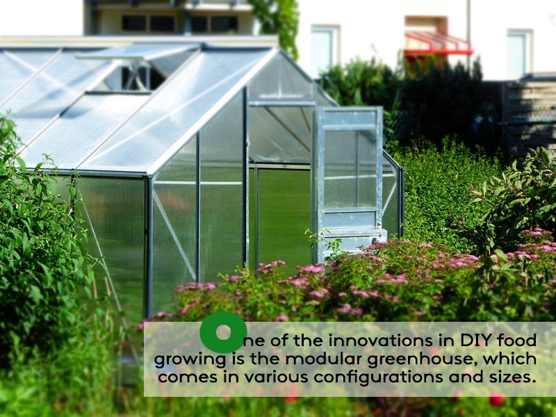 Vegetable Gardening Ideas - invest on small modular greenhouse