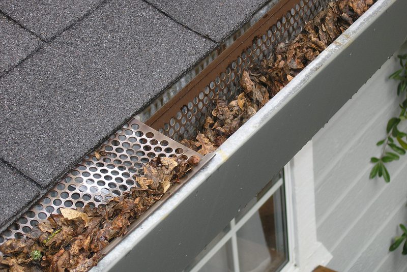 CLOGGED GUTTERS - old leaves