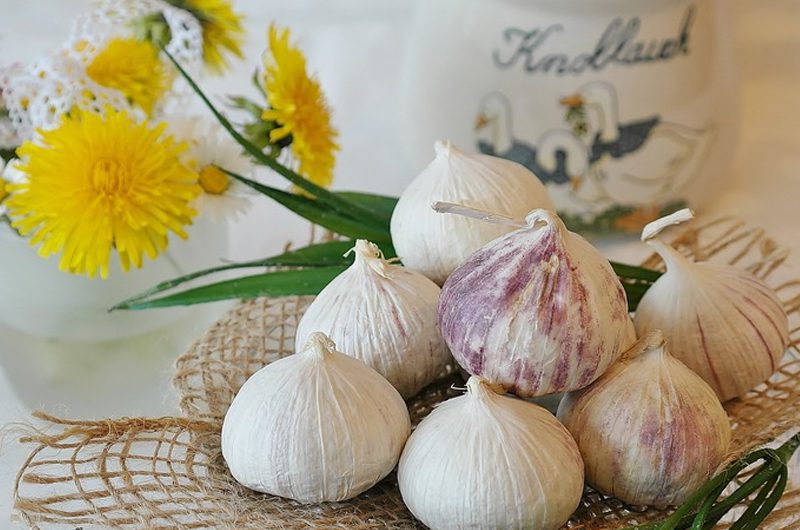 kitchen spices - Garlic