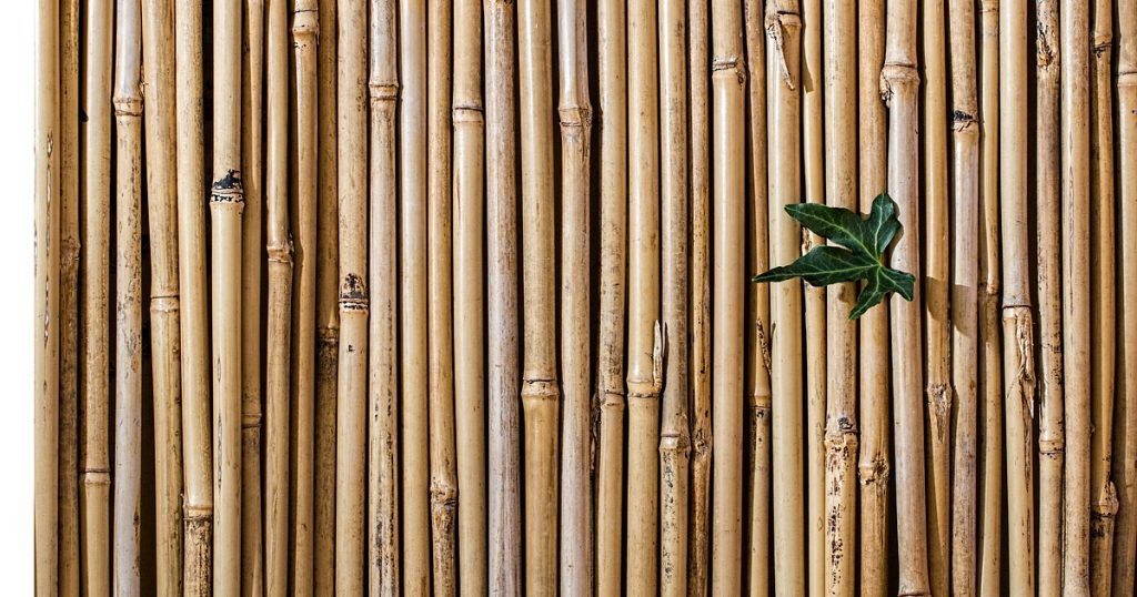 backyard privacy - partition