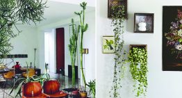 Indoor Garden Design Ideas to Bring Some Greenery into Your Space
